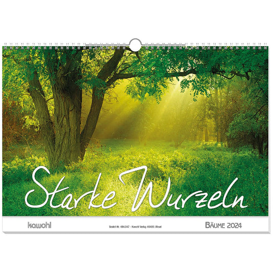 Starke Wurzeln 2024