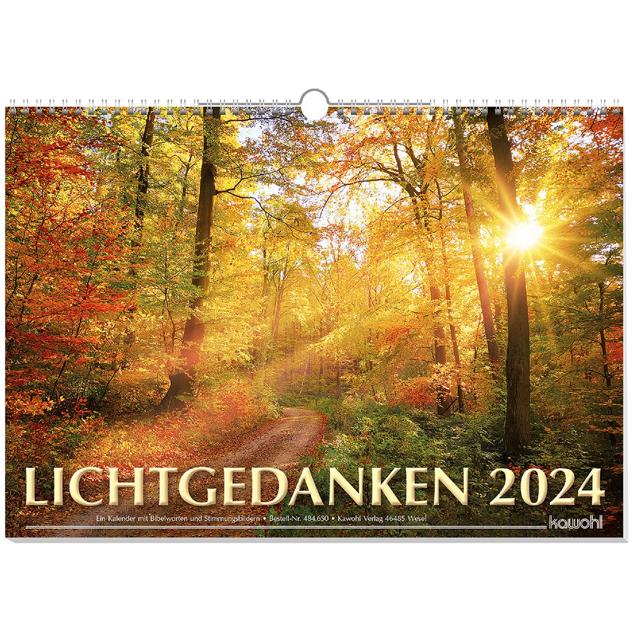 Lichtgedanken 2024