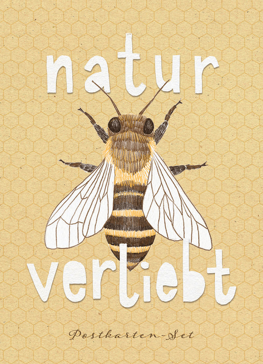 Postkartenbox natur-verliebt - Biene