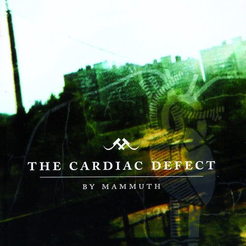 The Cardiac Defect (CD)