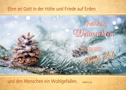 Postkarte Weihnachten 6 Ex.