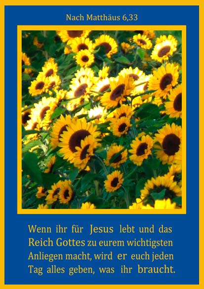 Faltkarte 6 Stück Für Jesus lebt