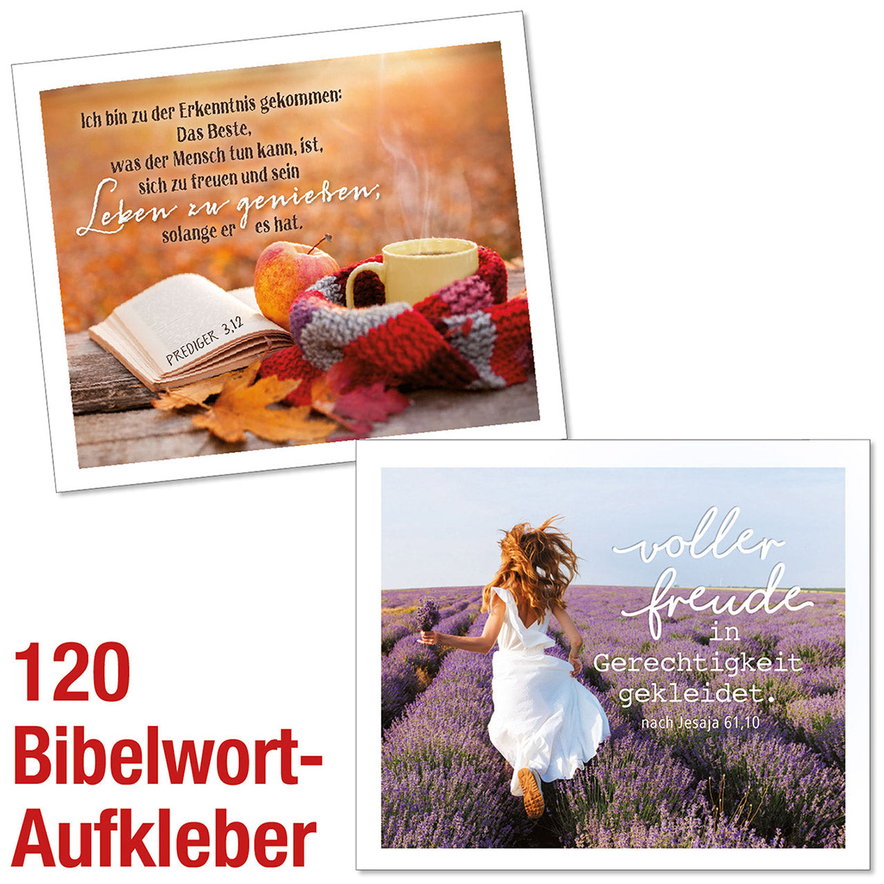 Paket Bibelwort-Aufkleber 120 Ex.