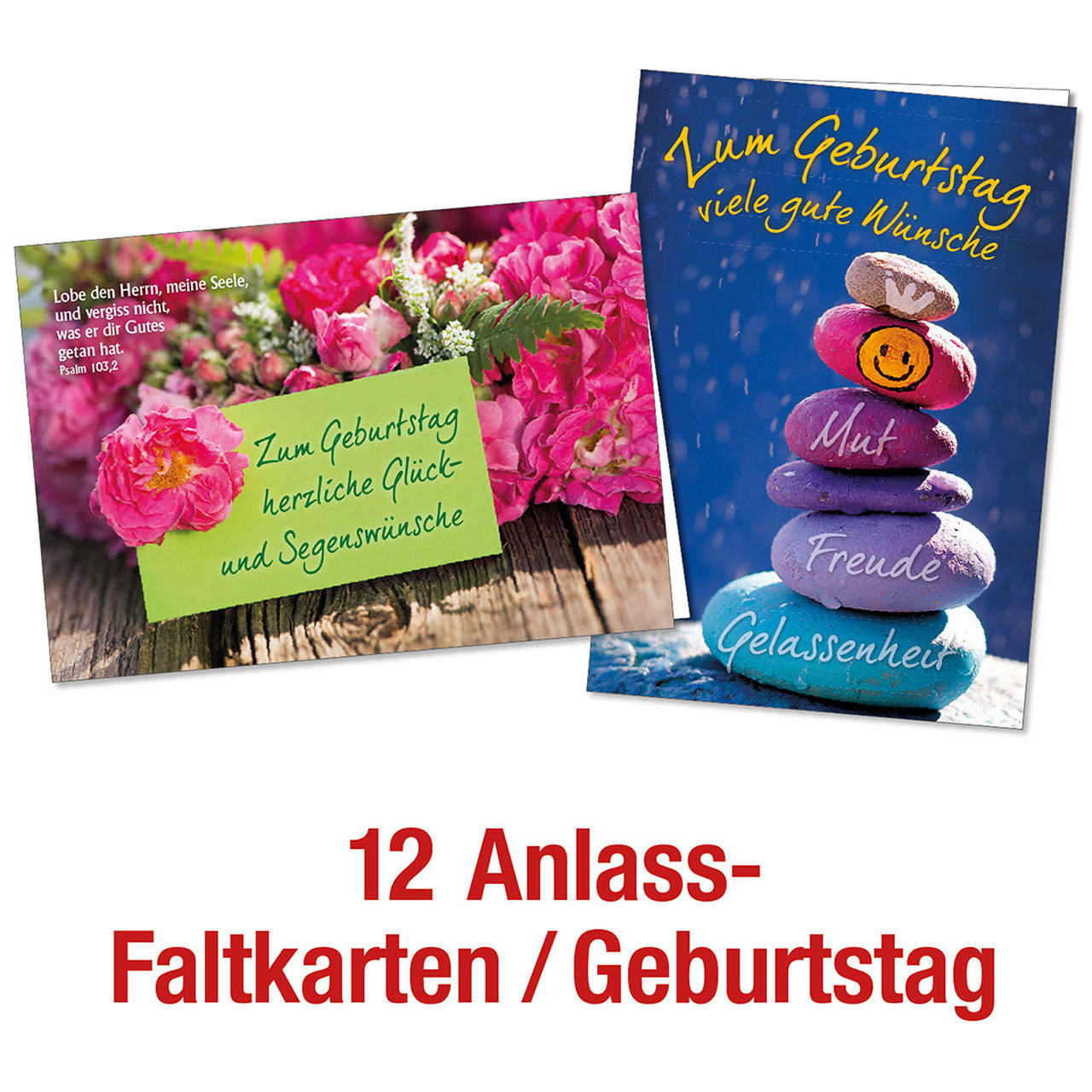 Paket Faltkarten Geburtstag 12 Ex.