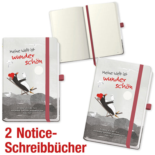 Paket Notice-Schreibbücher 2 Ex.