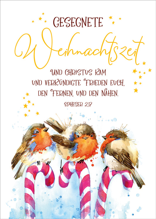 Postkarte Gesegnete Weihnachtszeit 10 Ex.